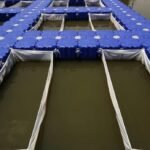 Modularni pontoni u marikulturi - primjena